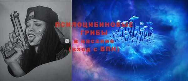 таблы Лиски