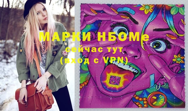 мет Алексин