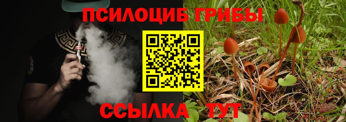 где купить наркоту  Псилоцибиновые грибы Magic Shrooms  Вход с VPN  Норильск 